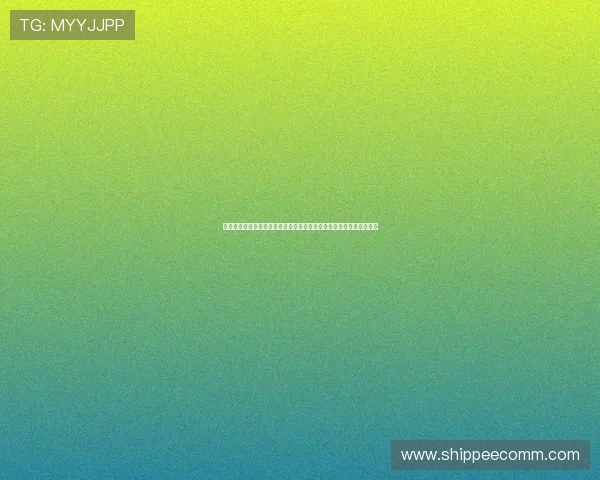 新西兰对比利时纸面实力对比:从阵容深度到战术体系的全面评估报告
